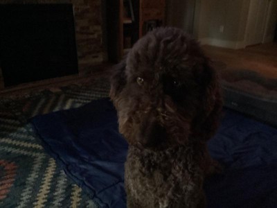 Guest review image 1 of 1, zoom in