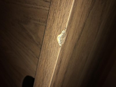 Guest review image 1 of 4, zoom in