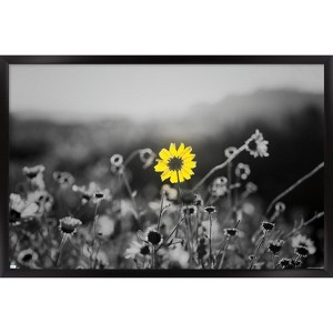 Trends International Joseph S Giacalone - A Bit Of Yellow Framed Wall Poster Prints - 1 of 4