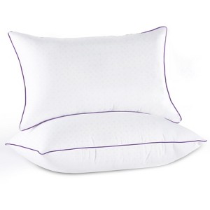 Itopfox Queen Size Pillows Set of 2, Medium Supportive Bed Pillows with Super Soft Down Alternative Fill, Luxury Fluffy Hotel Quality for Side, Back - 1 of 4