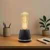 Festive Living G125 + LED Filament Outdoor Covered Patio Pendent Edison Replacement Bulbs, Warm White 2700K, E26 Medium Base - 2 of 4
