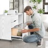 JIONJOY 31.3  Wide 3 -Drawer Mobile File Cabinet - 4 of 4