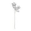 Lamb's Ear Leaf Bush (Set of 6) - 3 of 3