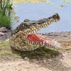 Design Toscano Chomper's Gonna Get You Crocodile Statue: Set of Two - 2 of 3