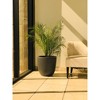 Rosemead Home & Garden, Inc. 17" Concrete/Fiberglass Modern Indoor/Outdoor Planter Charcoal Gray - 4 of 4