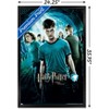 Trends International Harry Potter and the Order of Phoenix (French) Framed Wall Poster Prints - 3 of 4