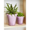 tag Ruffle Rim Planter Large Lavender - 2 of 2