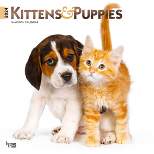 Browntrout 2024 Wall Calendar 12"x12" Kittens & Puppies