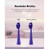 Essential Blue DY156 Electric Toothbrush + Purple Toothpaste Bundle Adult Blue - 4 of 4