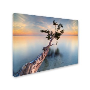 Trademark Fine Art-Moises Levy 'Water Tree XIV' Floating Brushed Aluminum Art - 1 of 4