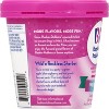 Baskin Robbins Frozen Wild N Reckless Sherbet - 14oz - 3 of 4