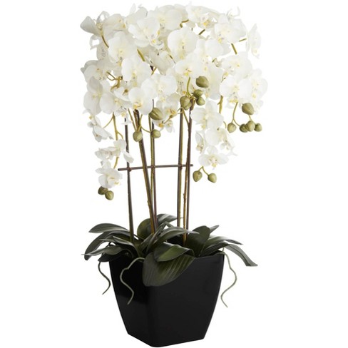 Dahlia Studios Potted Faux Artificial Flowers Realistic White Phalaenopsis  Orchid in Gold Ceramic Pot Home Decoration 23 High 