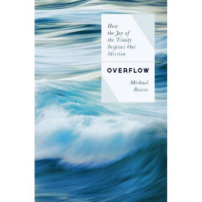 Overflow - by  Michael Reeves (Paperback)