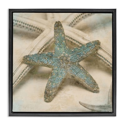 Stupell Industries Distressed Texture Starfish Black Framed Floater Canvas Wall Art