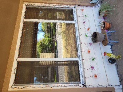 Guest review image 1 of 1, zoom in