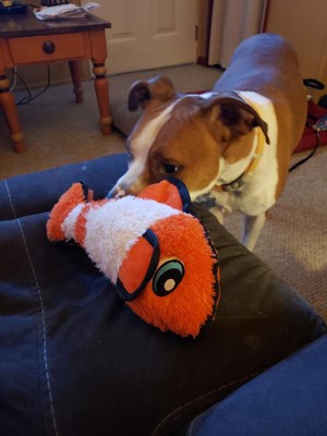 Kong Tough Plush Fish Dog Toy - Orange : Target