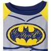 Warner Bros. Justice League Robin Cosplay T-Shirt and Cape Toddler to Big Kid - 4 of 4