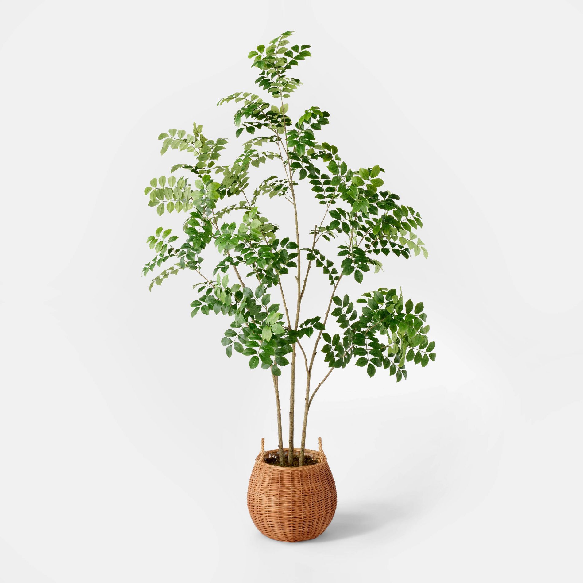 Artificial Pterocarpus Leaf Tree - Threshold™ designed with Studio McGee: Indoor Polyester Faux Plant, No Assembly Required