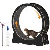 Large Silent Cat Treadmill with Dual-Color Track, Cat Home Exercise Wheel, Suitable for Pet Health and Entertainment - 2 of 4