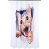 The Lakeside Collection Cat Memory Foam Bath Rugs & Shower Curtain Complete 16 Pc Set - 4 of 4