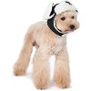 Dogo "Trapper" Hat For Cat Dog Puppy Pet (L) - 3 of 4