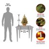 2' Prelit Flocked Concolor Fir Artificial Christmas Tree Warm White Lights - National Tree Company - 4 of 4
