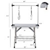 DOMETOUR 46'' Folding Pet Grooming Table w/ Adjustable Arm, Stainless Steel Frame & Rubber Mat for Dogs & Cats (Silver-Gray) - 3 of 4