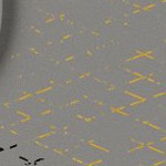 seth freakin rollins