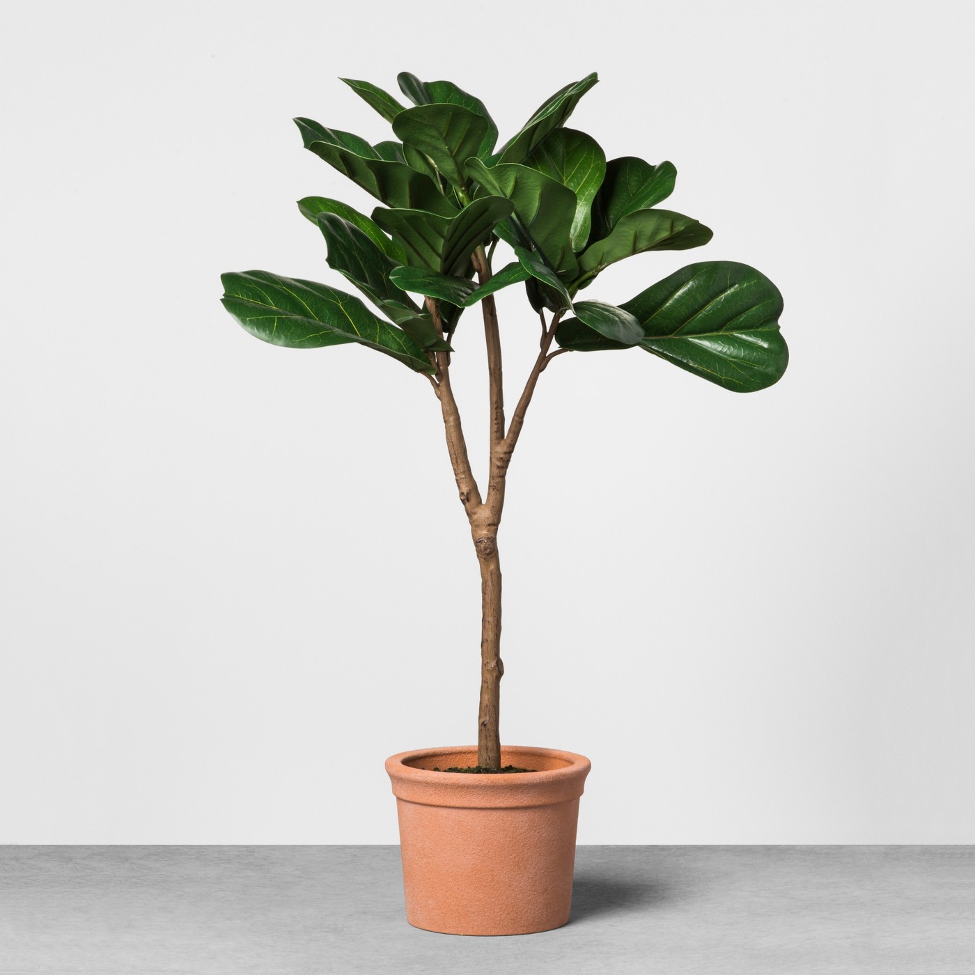 Faux Fiddle Leaf Plant in Terracotta Pot - Hearth & Hand™ with Magnolia - image 1 of 2