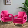 Set of 2 Pene Velvet Accent Armchair with Golden Metal Base | Karat Home - 2 of 4