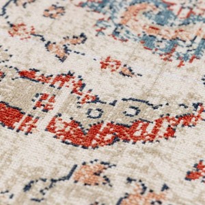 Hauteloom Shafter Traditional Outdoor Area Rug - 1 of 4
