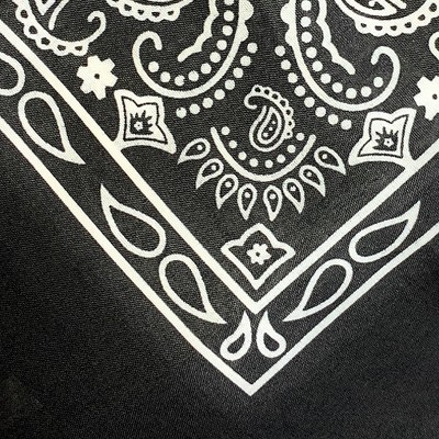 black paisley
