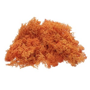 Unique Bargains Decoration Craft Artificial Plants Dried Preserved Reindeer Moss 4 OZ - 1 of 4