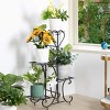 SEVOBAL Metal Plant Stand 4 Tier Flower Holder Racks Patio Stand Holder Outdoor Displaying Plants Flowers Potted Planter Shelves Indoor Shelf Holder - 2 of 4