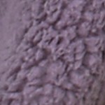 southwestern star