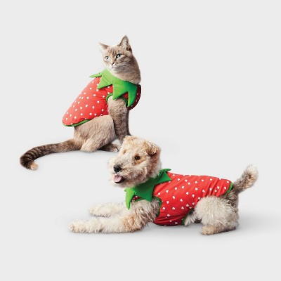 Reflective Strawberry Dog Vest - Boots & Barkley™ Cherry Red