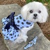 Doggie Design Blackberries Dog Dress with Matching Leash - 3 of 4