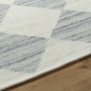 Hauteloom Andrin Light Gray Area Rug - 1 of 4