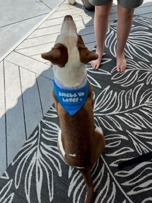 Good2go cooling dog bandana sale