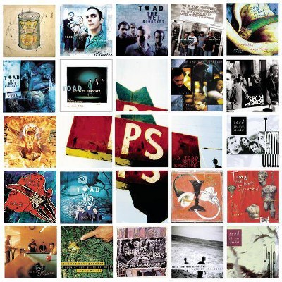 Toad The Wet Sprocket - P.S.: A Toad Retrospective (CD)