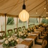 Festive Living G125 + LED Filament Outdoor Covered Patio Pendent Edison Replacement Bulbs, Warm White 2700K, E26 Medium Base - 4 of 4