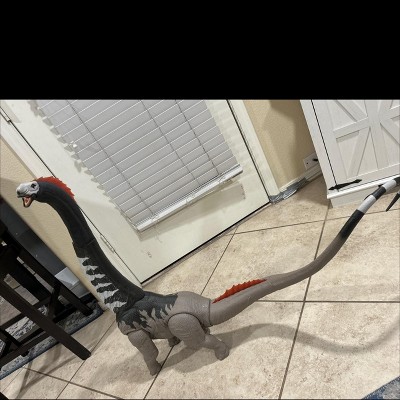 Guest review image 2 of 2, zoom in