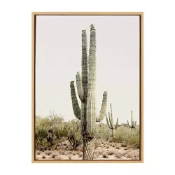 23" x 33" Sylvie Sunrise Cactus Framed Canvas by Amy Peterson Natural - Kate & Laurel All Things Decor