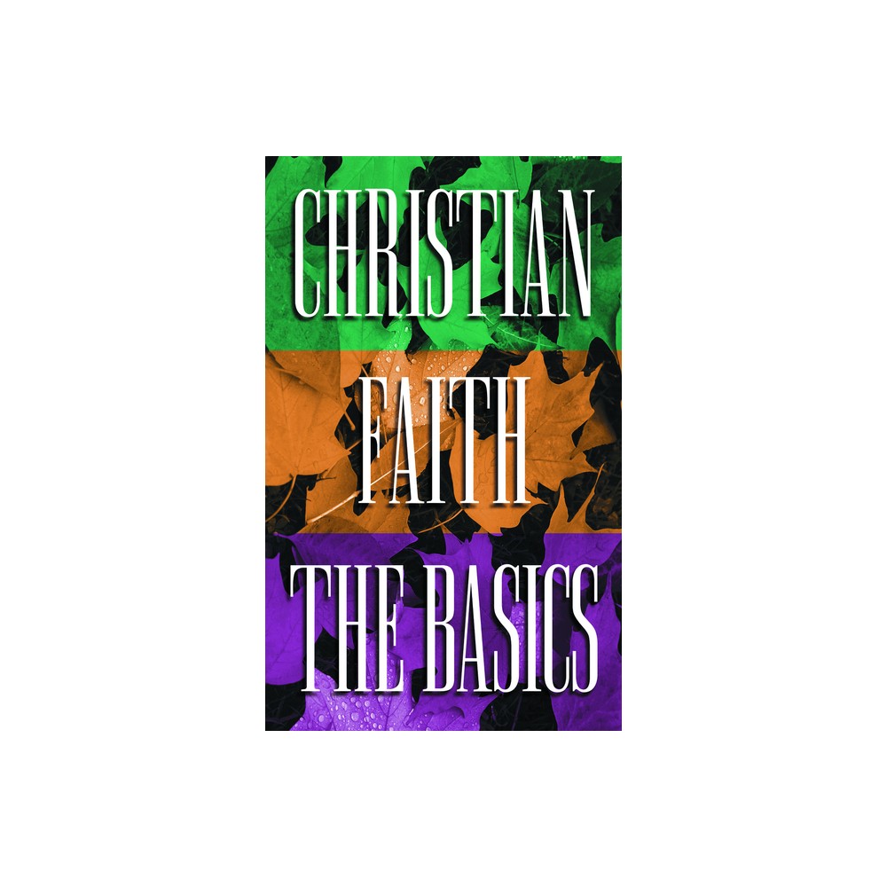 Christian Faith the Basics - by Walter Kallestad (Paperback)