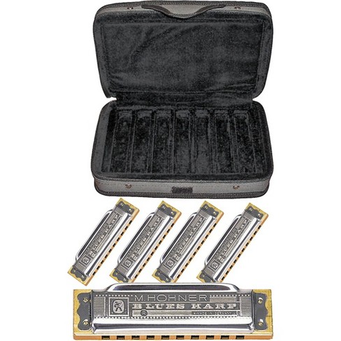 What harmonica should I get after buying a Hohner Blues harp in