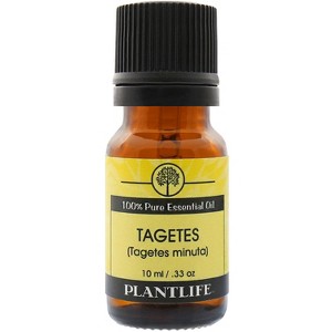 Plantlife Tagetes Aromatherapy Essential Oil – 100% Pure, Therapeutic Grade, No Additives or Fillers, 10 ml - 1 of 2