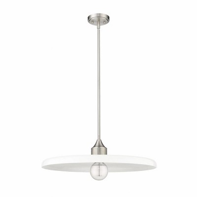Paloma Brushed Nickel 24" LED Glass Indoor/Outdoor Pendant Light