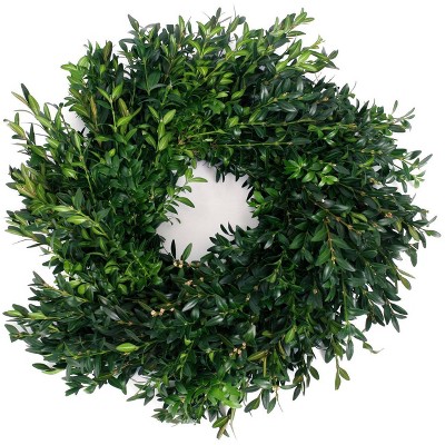 Live Fresh Cut Blue Ridge Mountain Box Wood Window 12" Wreath - Van Zyverden