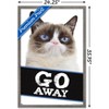 Trends International Grumpy Cat - Go Away Framed Wall Poster Prints - 3 of 4
