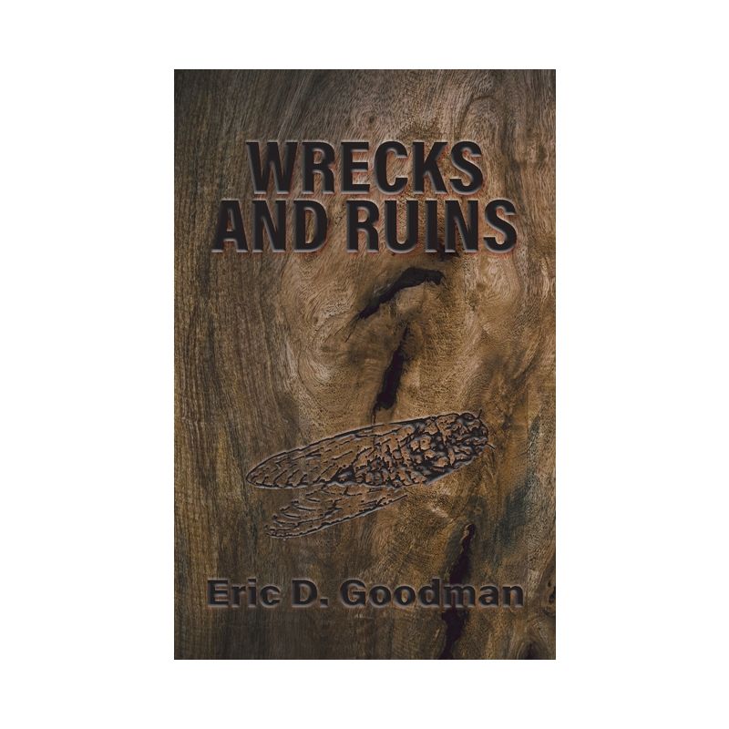 Wrecks and Ruins - by  Eric D Goodman (Paperback), 1 of 2